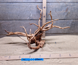Spiderwood Selectie SP0008