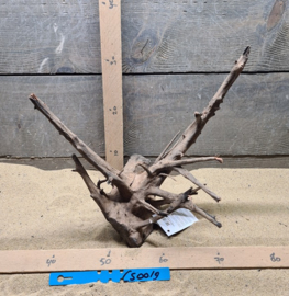 Corbo Root CS0019