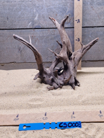 Corbo Root CS0003