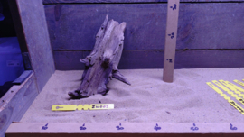 Zambia Wood ZW003
