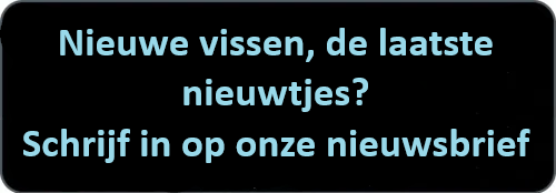 Aanmelden nieuwsbrief