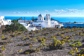 Hellas: Griekse wijnen toen en nu!