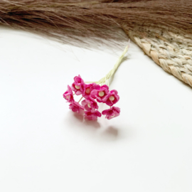 Cherry blossom hotpink 10mm 10st