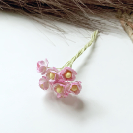 Cherry blossom roze/wit 10mm 10st