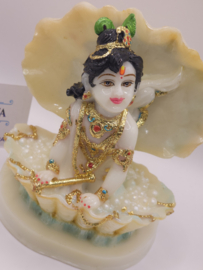 Krishna schelp white