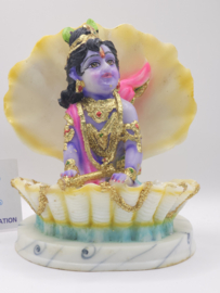Krishna schelp beeld
