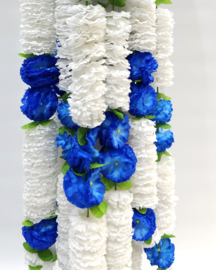 White Blue mix