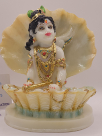 Krishna schelp white