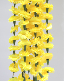 Yellow 1