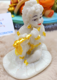 Krishna 6