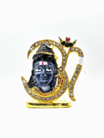 Shiva
