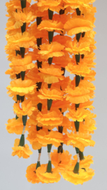 Orange 1