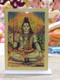 Shiva 1
