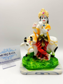 Krishna cow