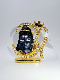 Shiva
