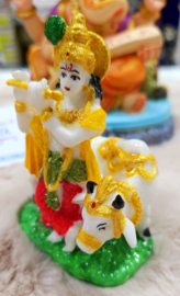 Krishna 7