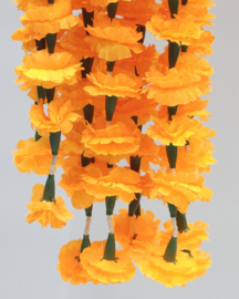 Orange 1