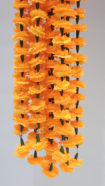Orange 1