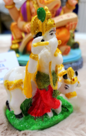 Krishna 7