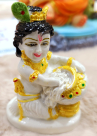 Krishna 5