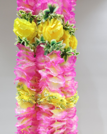Pink yellow mix