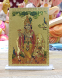 Krishna 1