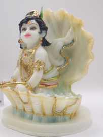 Krishna schelp white
