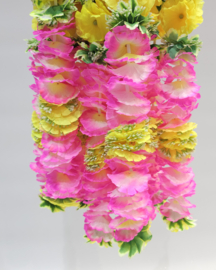 Pink yellow mix