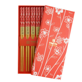 TOKYO | Chopsticks giftset van 5
