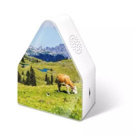 HEIDI BOX Alpine Geluiden