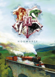 Aquarius 1000 stuks Harry Potter Hogwarts Express Ticket