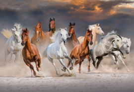 Bluebird 1000 stuks The Horse Race
