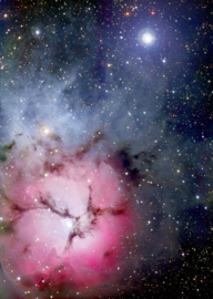 Enjoy 1000 stuks The Trifid Nebula