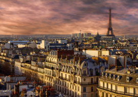 Bluebird 1000 stuks Paris/France