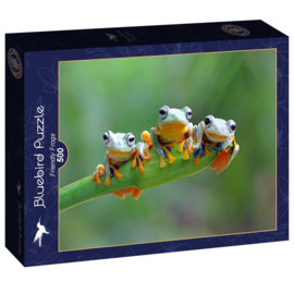 Bluebird 500 stuks Friendly Frogs