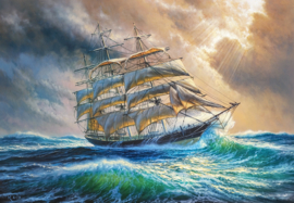 Castorland 1000 stuks Sailing against all ods