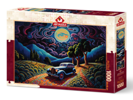 ART PUZZEL 1000 STUKS Nacht in Transylvanië