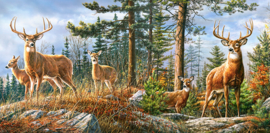 Castorland 4000 stuks Royal Deer Family