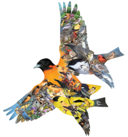 Sunsout 1000 stuks Oriole