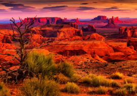 Bluebird 1500 stuks Monument Valley