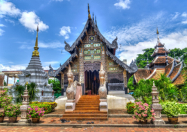 Bluebird 1000 stuks Chiang Mai, Thailand