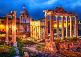 Bluebird 1000 stuks Roman Forum
