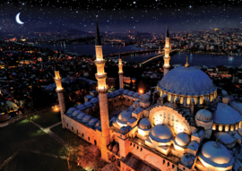 ART PUZZEL 1000 STUKS Neon Puzzle - Sainte-Sofie Blue Mosque