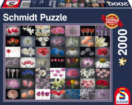 Schmidt 2000 stuks Bloemengroet