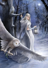 Art PUZZEL 1000 stuks Anne Stokes - Midnight Messenger