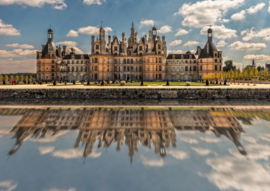 Bluebird 1000 stuks Château de Chambord, France