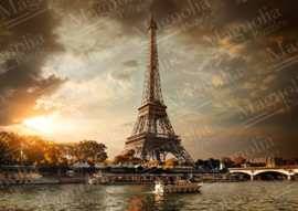 Magnolia 1000 stuks Clouds over Paris