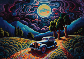 ART PUZZEL 1000 STUKS Nacht in Transylvanië