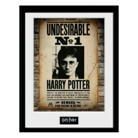 Harry Potter Framed Foto Undisirable n°1 