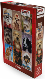 Nova 1000 stuks Cute Dogs